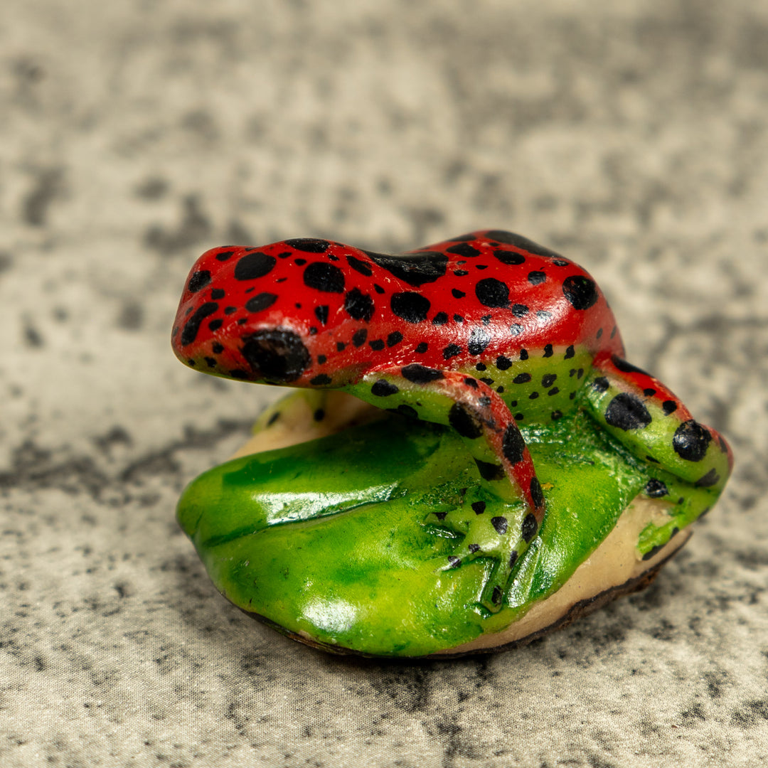 Red And Black Poison Dart Frog Tagua Carving