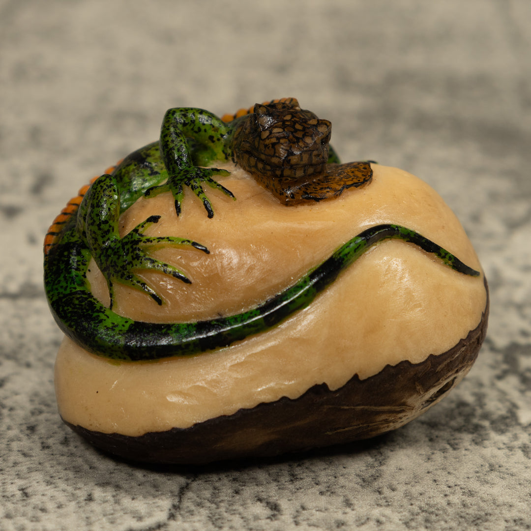 Iguana Lizard Reptile Tagua Carving