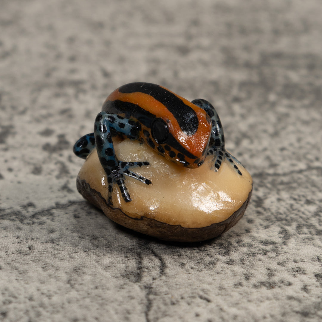 Gold And Black Poison Dart Frog Tagua Carving