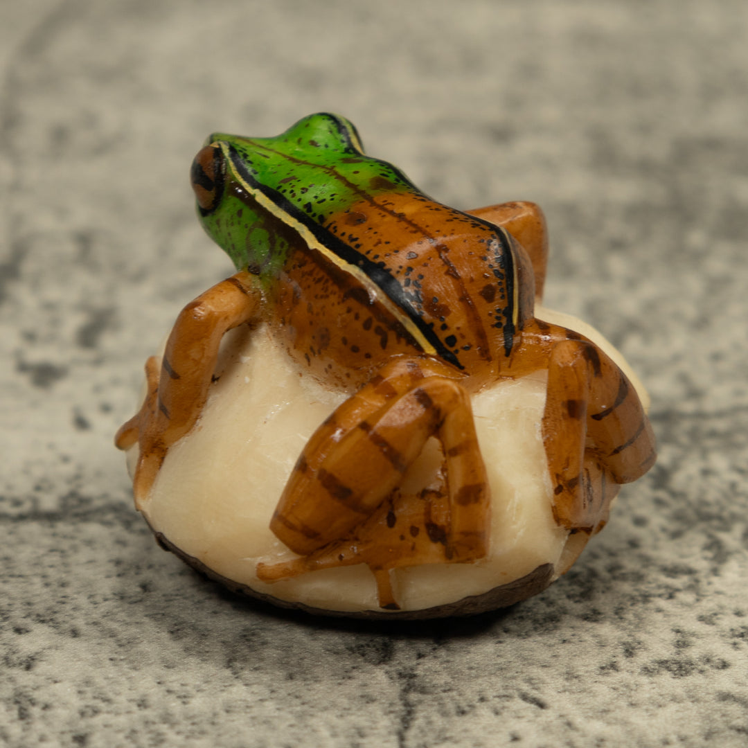 Poison Dart Frog Tagua Carving