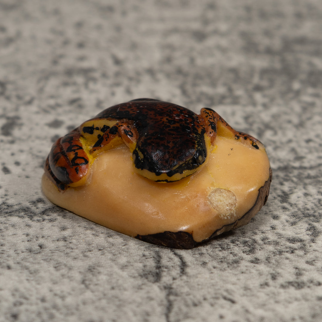 Vintage Brown And Black Frog Tagua Carving