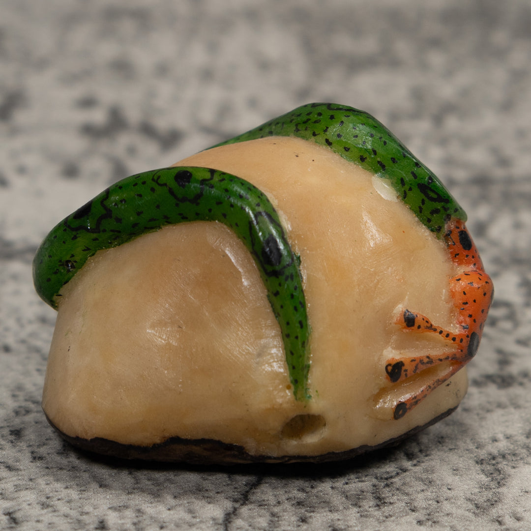 Snake Eating A Frog Tagua Carving