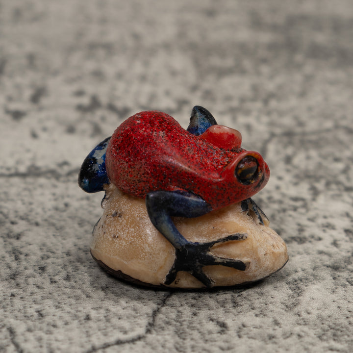 Vintage Black And Red Frog Tagua Carving