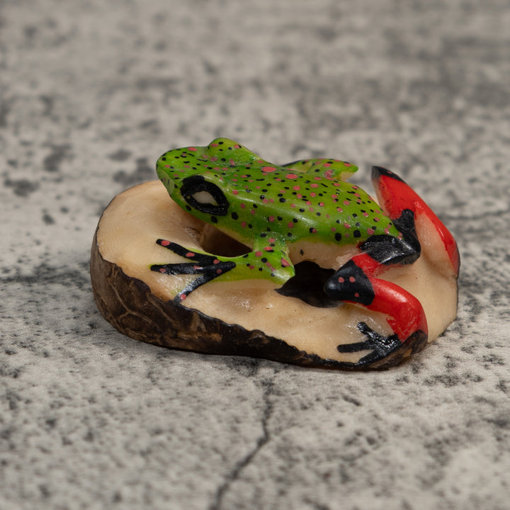 Red And Green Poison Dart Frog Tagua Carving