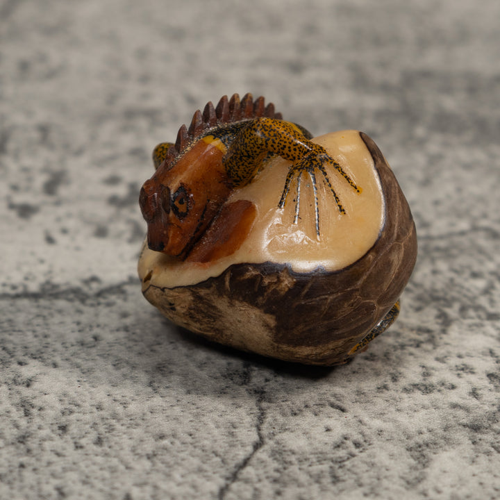 Brown And Black Iguana Lizard Tagua Carving