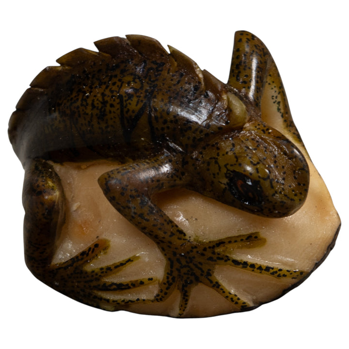 Brown And Black Iguana Lizard Tagua Carving