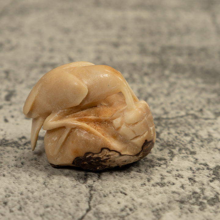 Vintage Natural White Hummingbird Tagua Carving