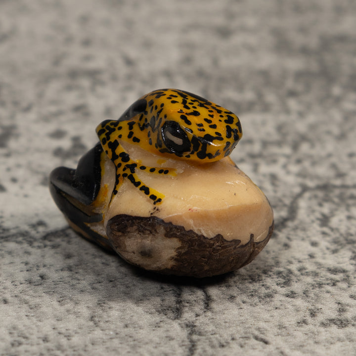 Gold And Black Poison Dart Frog Tagua Carving