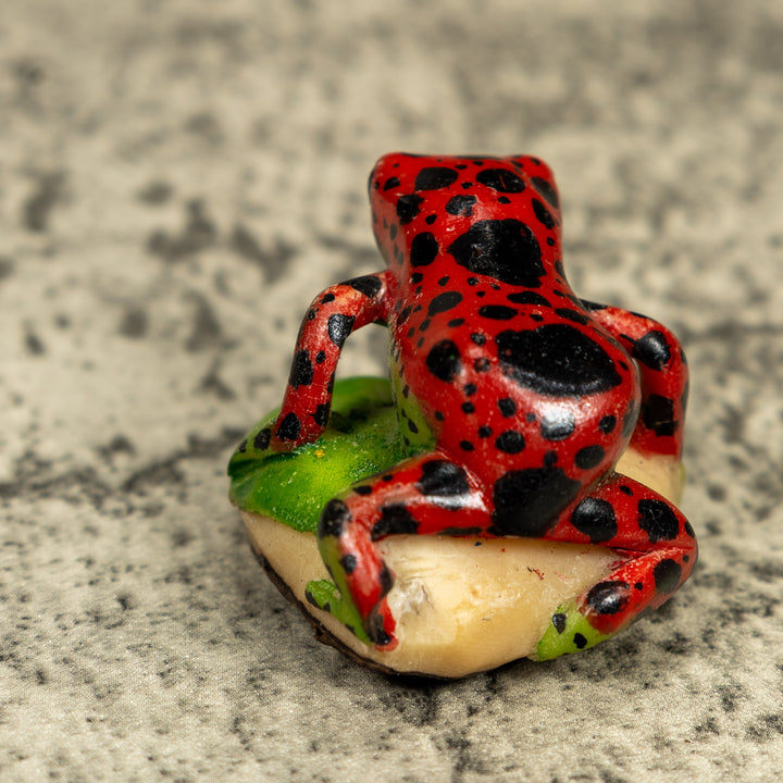 Red And Black Poison Dart Frog Tagua Carving