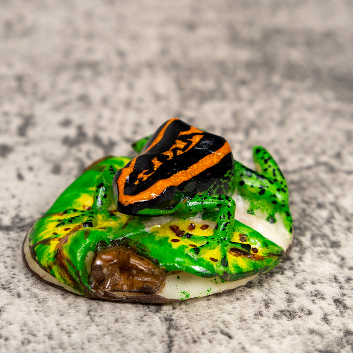 Black Orange And Green Poison Dart Frog Tagua Carving