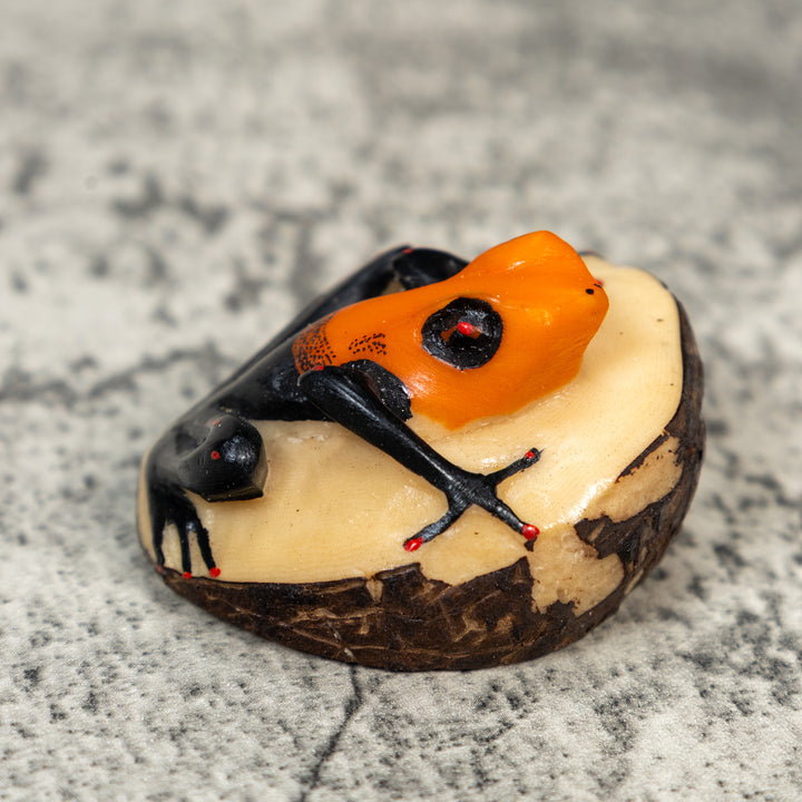 Black And Orange Poison Dart Frog Tagua Carving