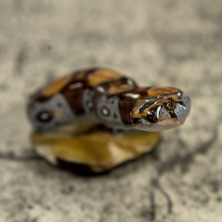 Boa Constrictor Snake Tagua Carving