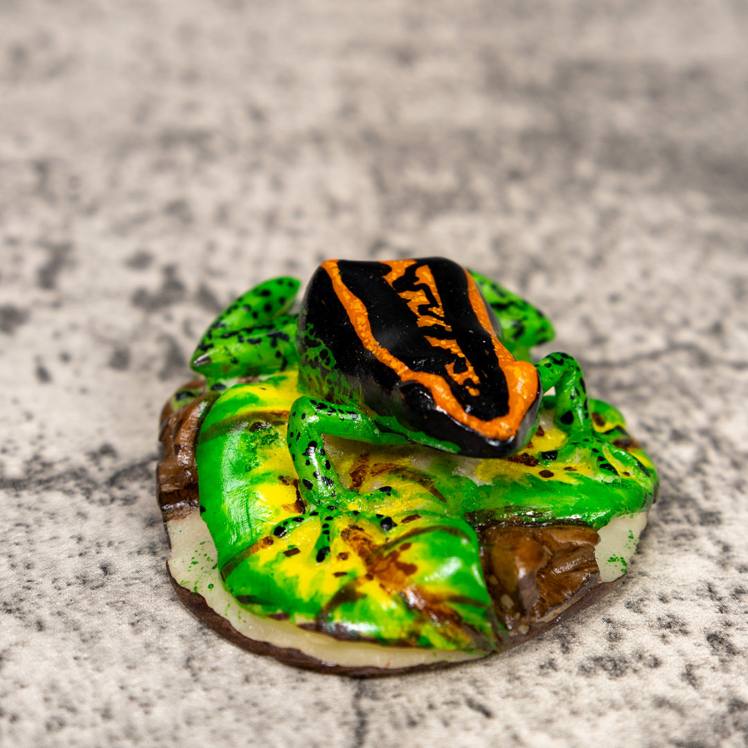 Black Orange And Green Poison Dart Frog Tagua Carving