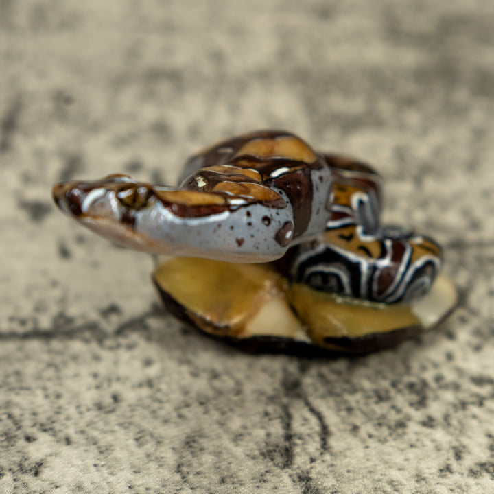 Boa Constrictor Snake Tagua Carving