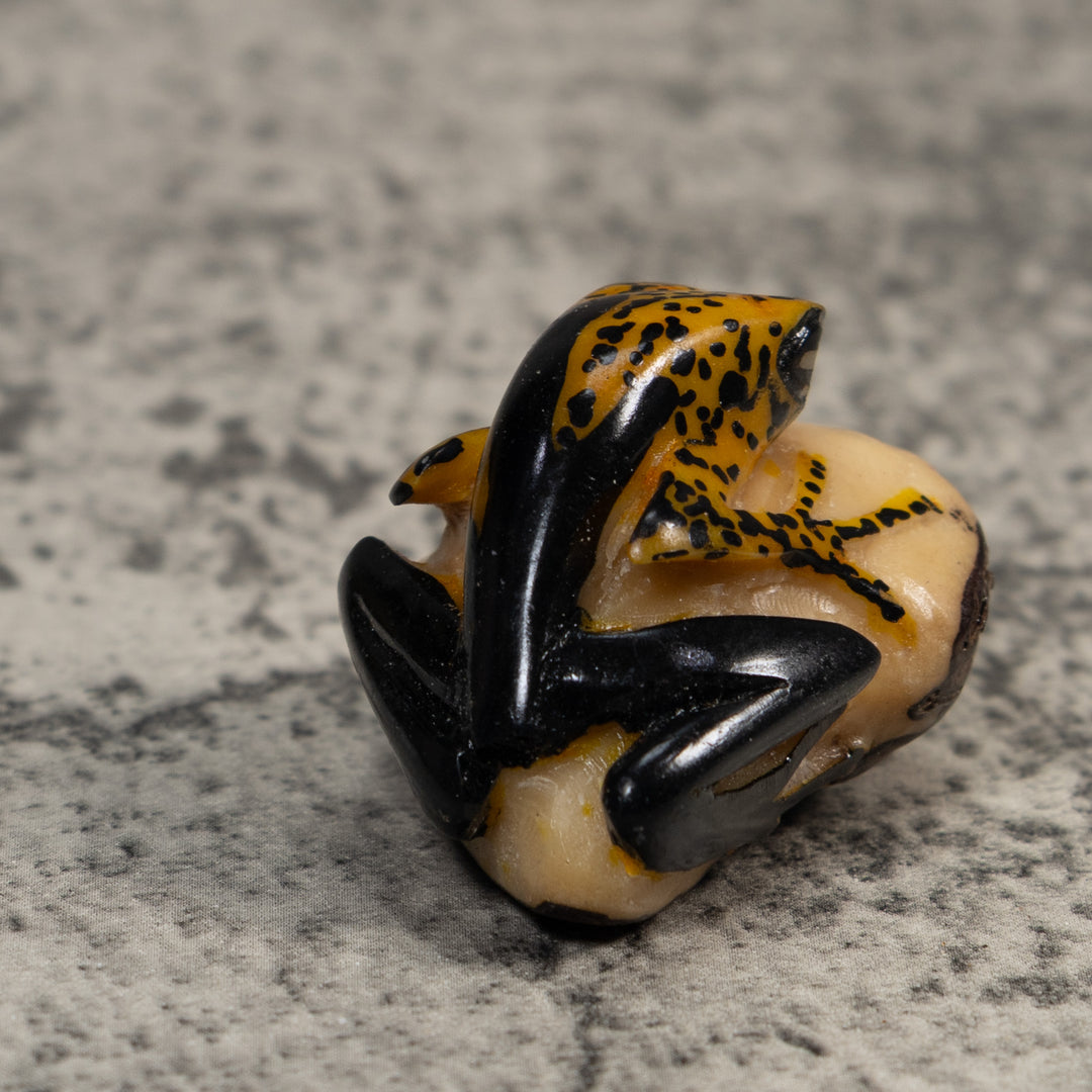 Gold And Black Poison Dart Frog Tagua Carving