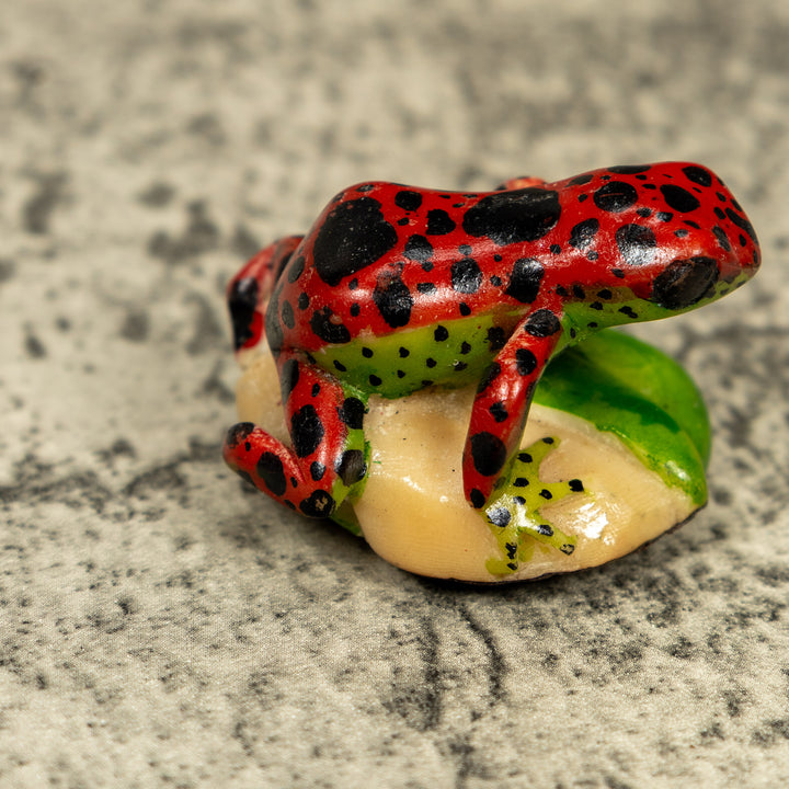 Red And Black Poison Dart Frog Tagua Carving