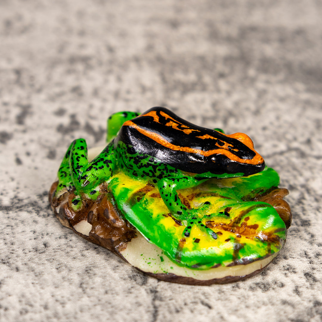 Black Orange And Green Poison Dart Frog Tagua Carving