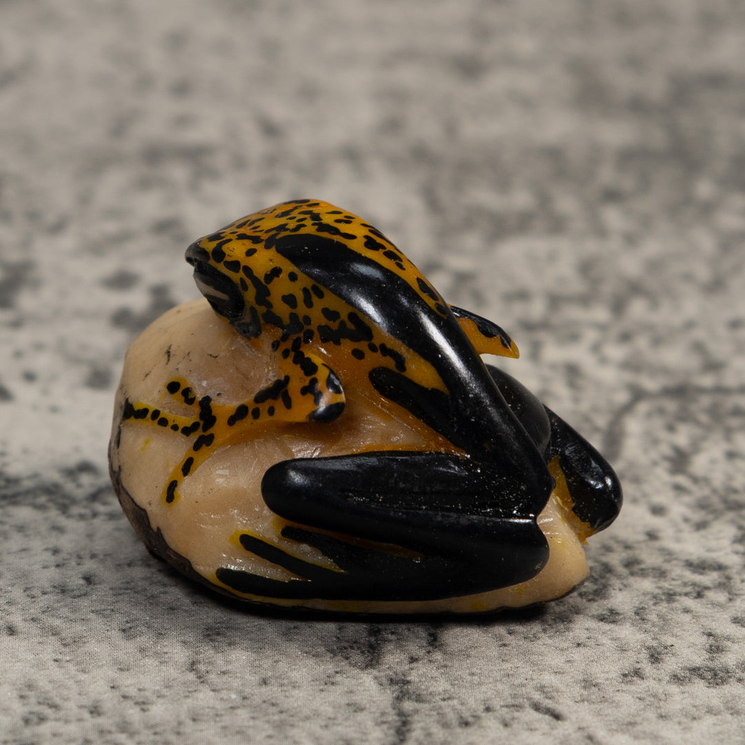 Gold And Black Poison Dart Frog Tagua Carving