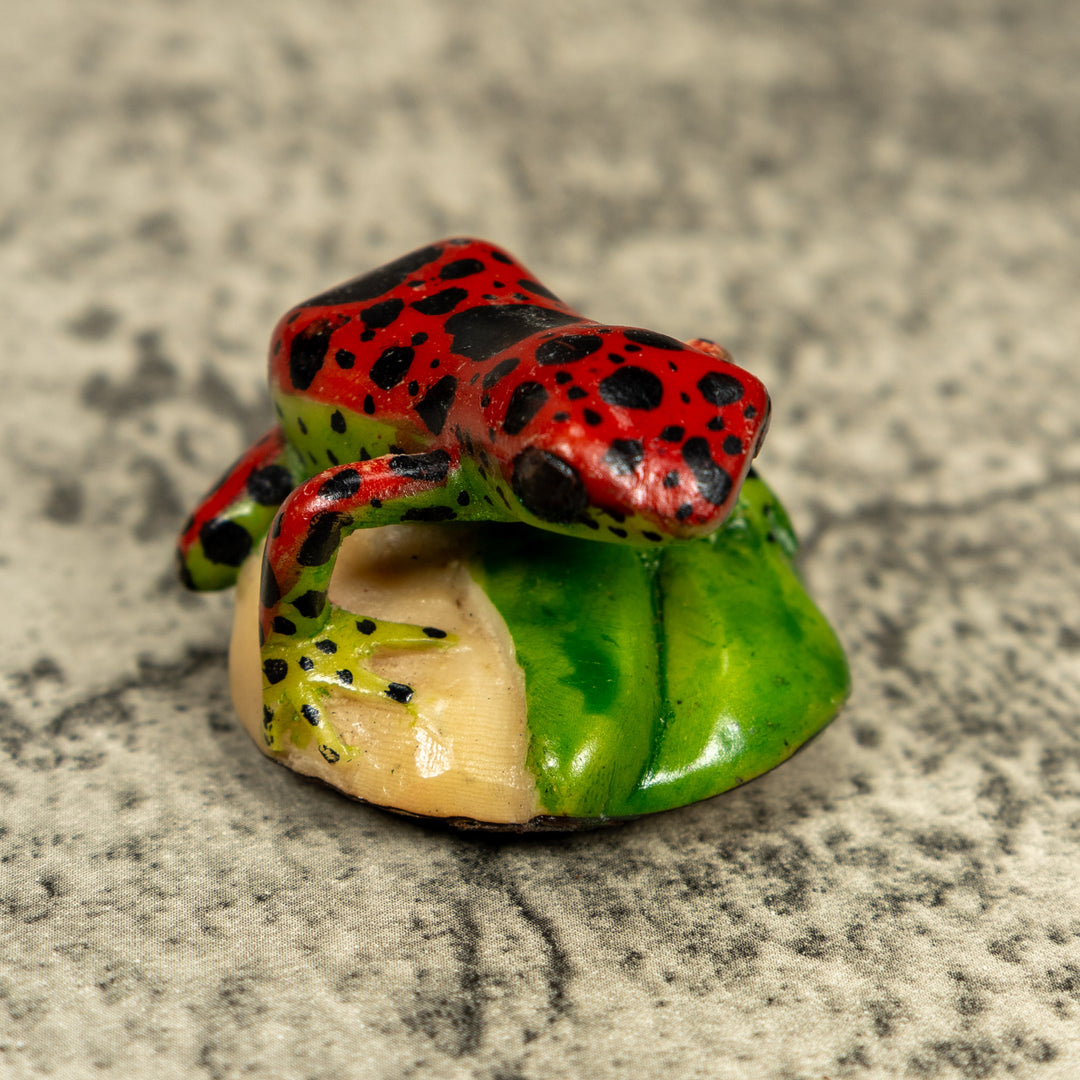 Red And Black Poison Dart Frog Tagua Carving