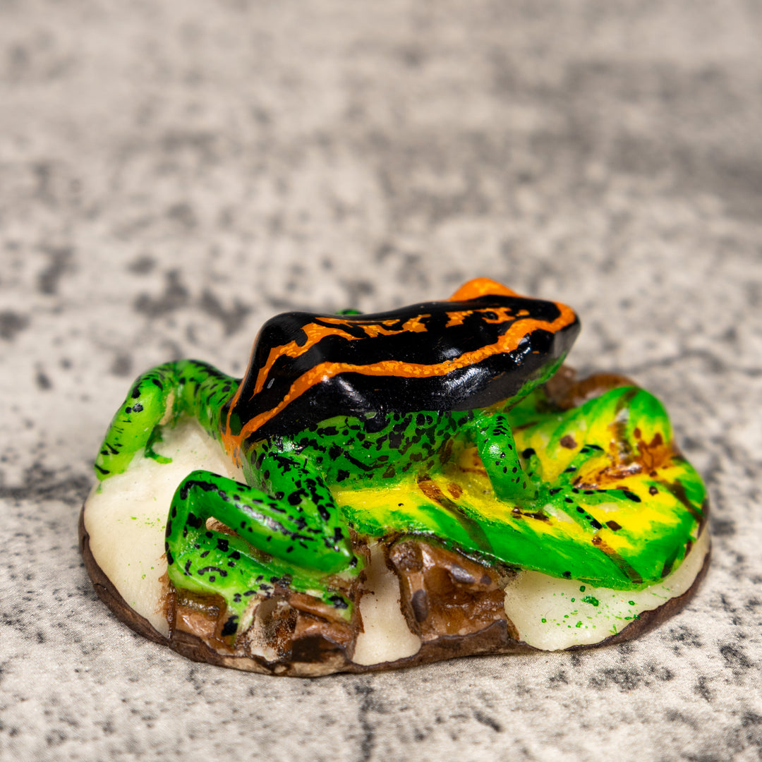 Black Orange And Green Poison Dart Frog Tagua Carving