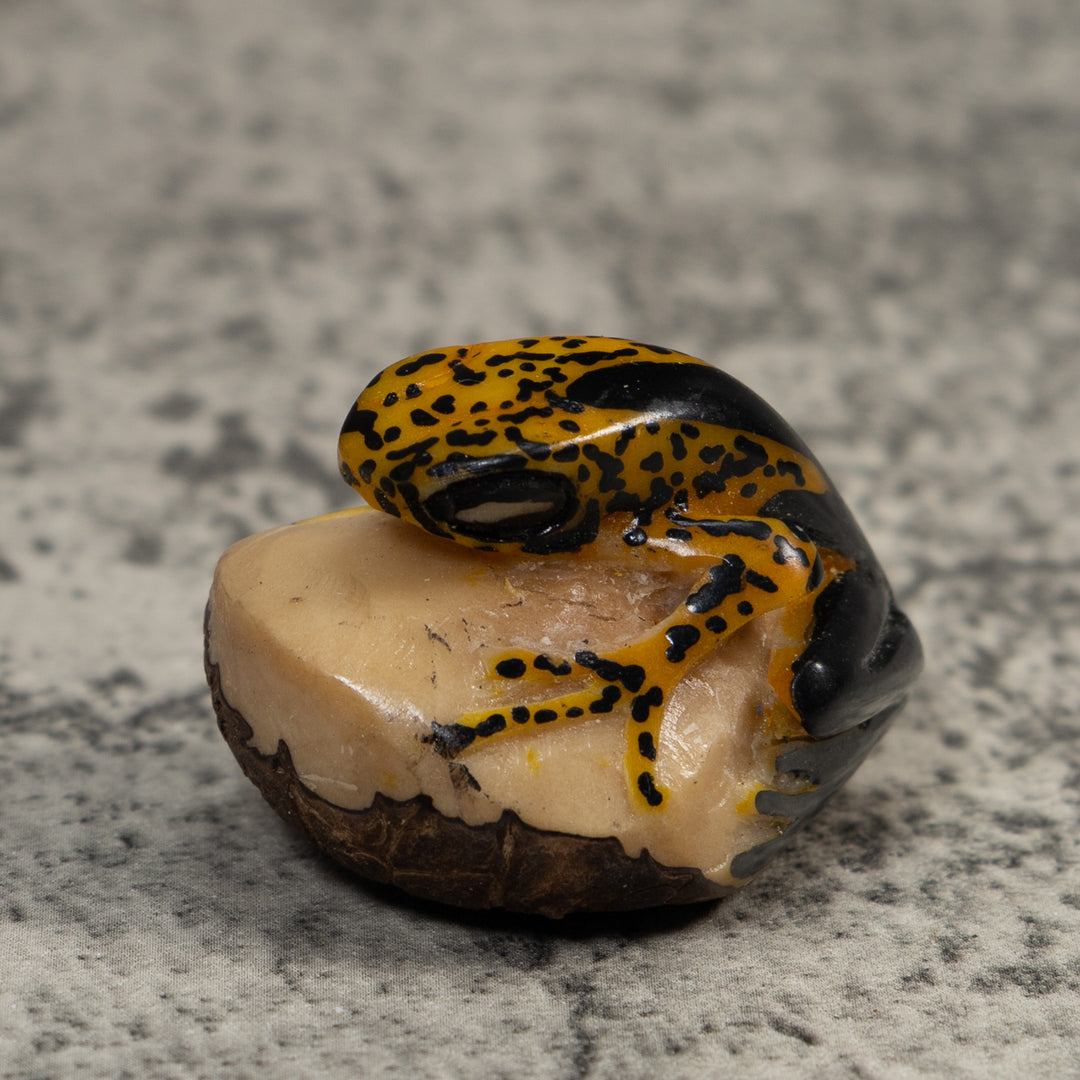 Gold And Black Poison Dart Frog Tagua Carving