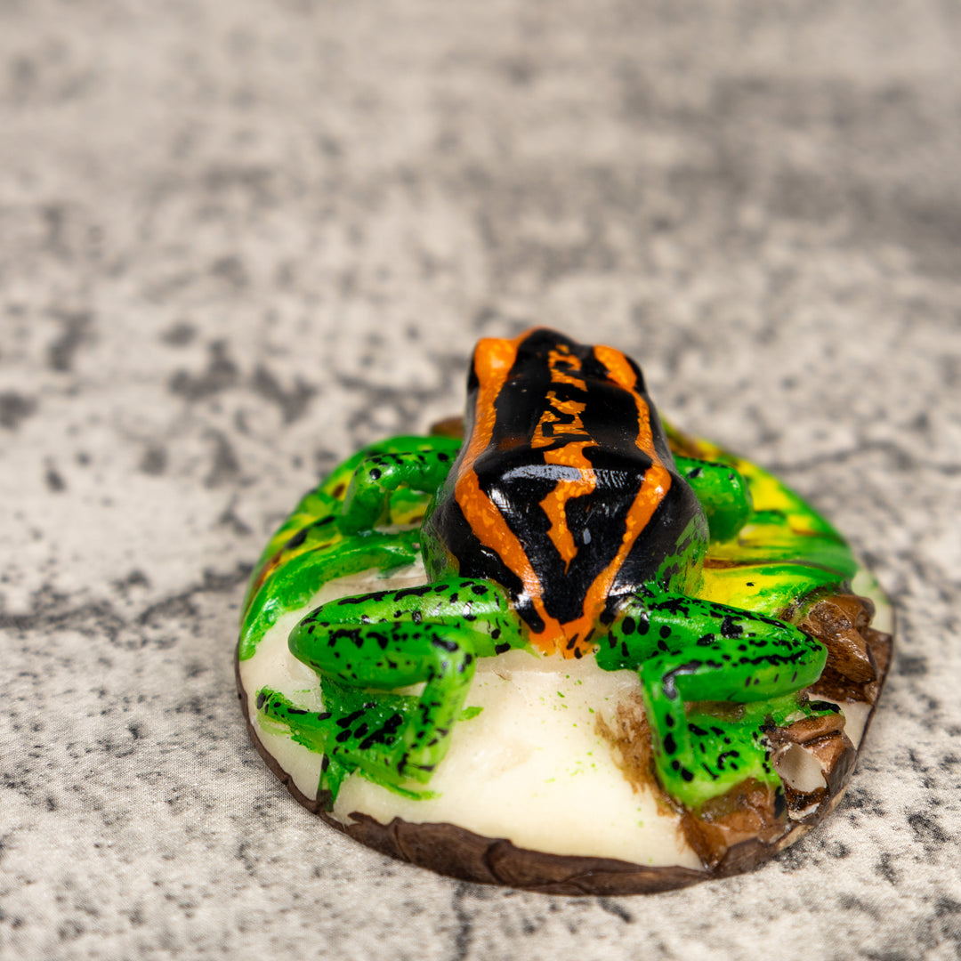 Black Orange And Green Poison Dart Frog Tagua Carving