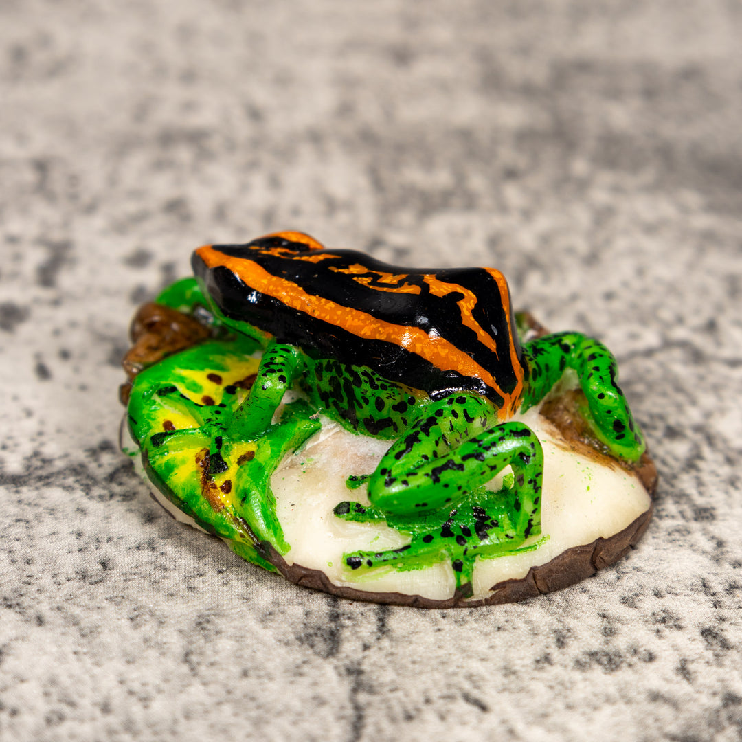 Black Orange And Green Poison Dart Frog Tagua Carving