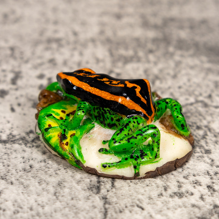 Black Orange And Green Poison Dart Frog Tagua Carving