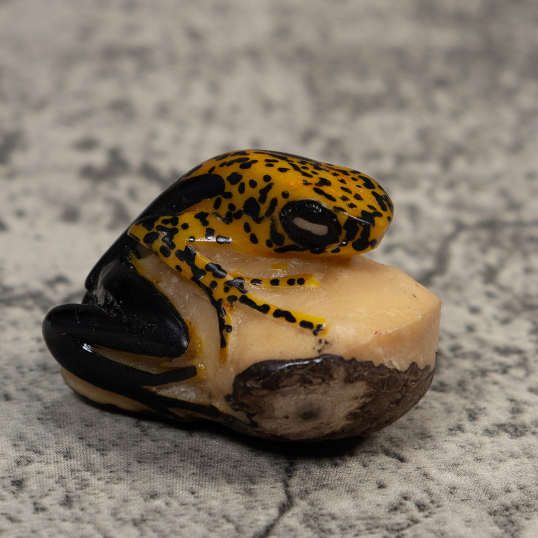 Gold And Black Poison Dart Frog Tagua Carving