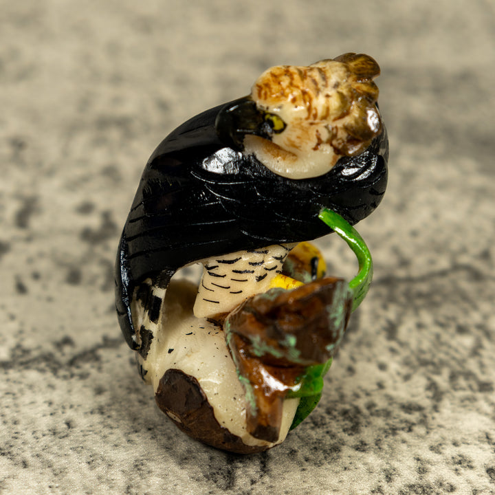 Magnificent Endangered Harpy Eagle Tagua Carving