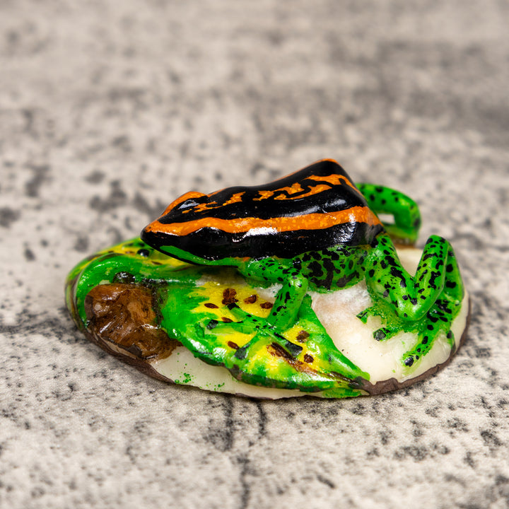 Black Orange And Green Poison Dart Frog Tagua Carving