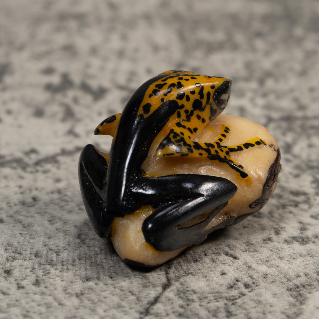 Gold And Black Poison Dart Frog Tagua Carving