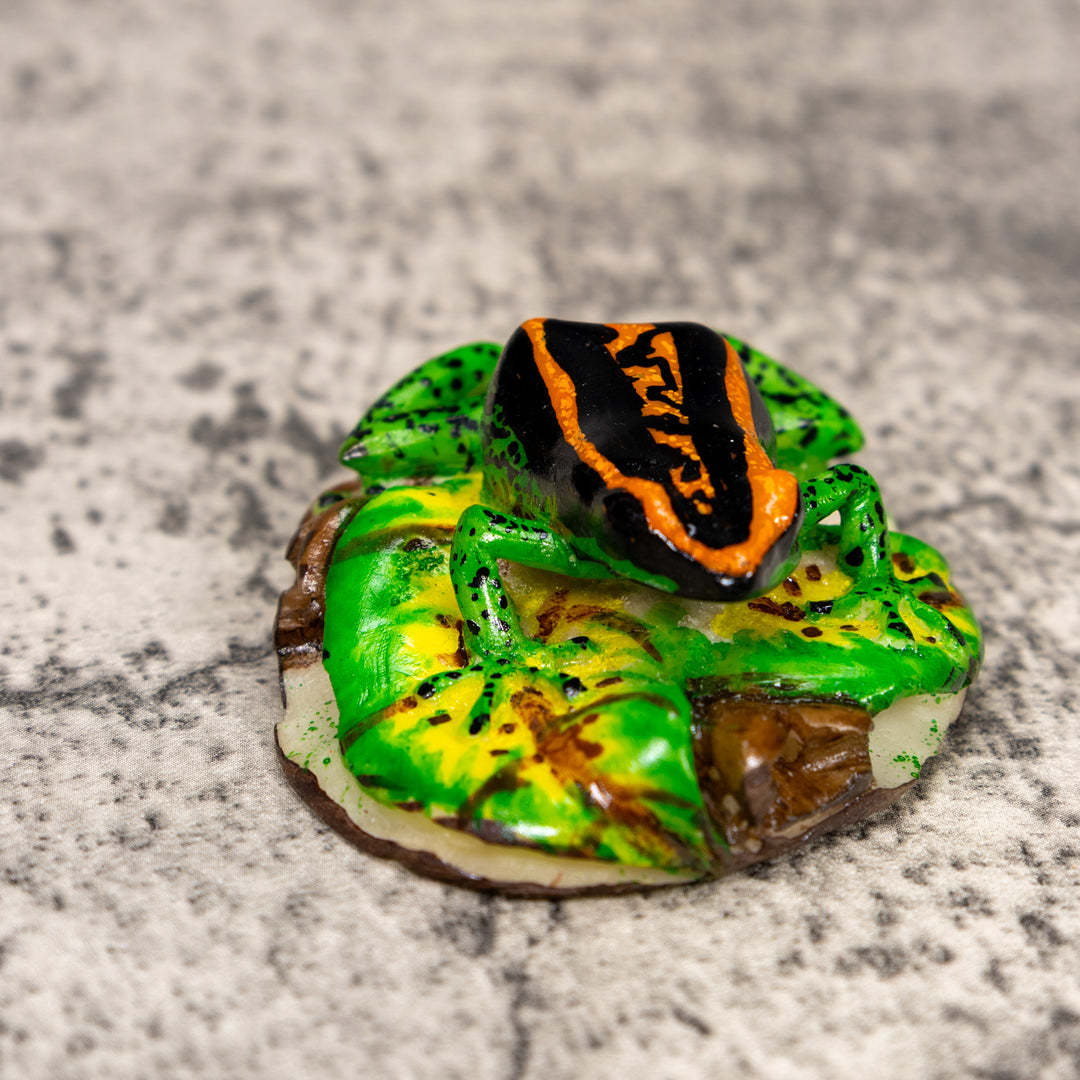 Black Orange And Green Poison Dart Frog Tagua Carving
