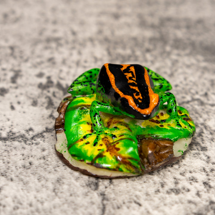Black Orange And Green Poison Dart Frog Tagua Carving