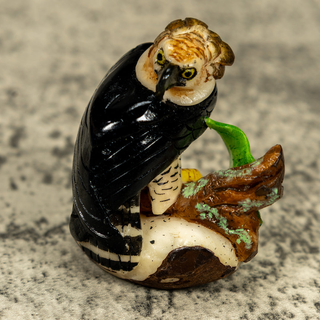 Magnificent Endangered Harpy Eagle Tagua Carving