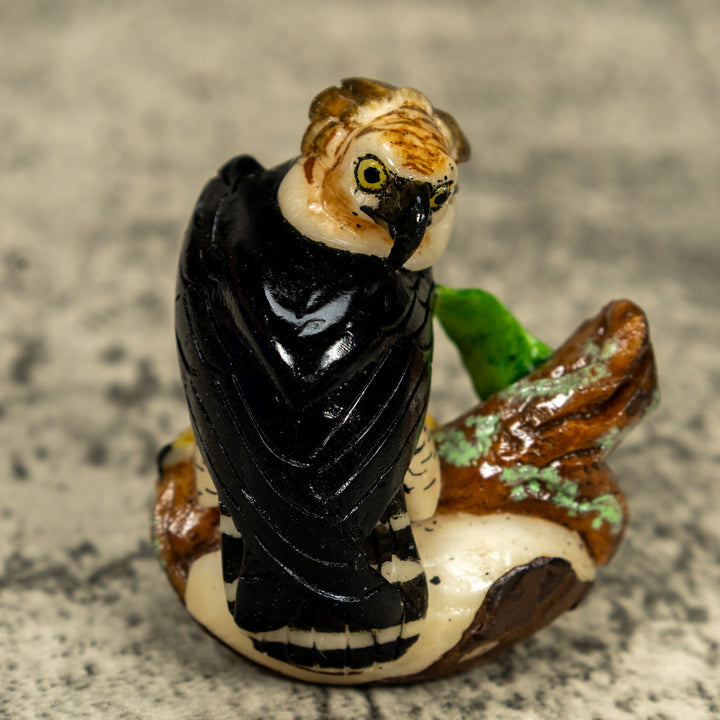Magnificent Endangered Harpy Eagle Tagua Carving