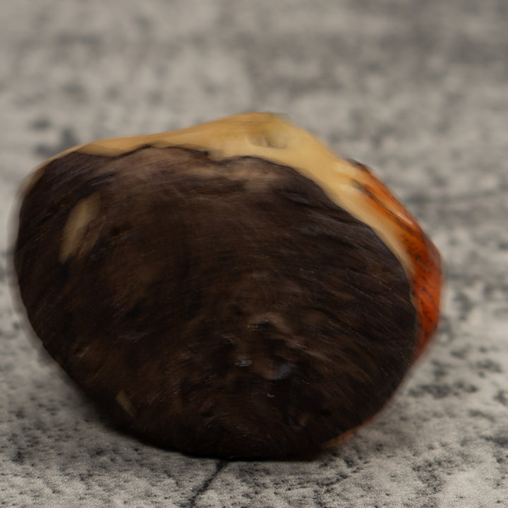 Snake Eating A Frog Tagua Carving