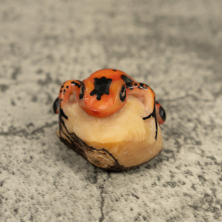 Vintage Orange And Black Poison Dart Frog Tagua Carving