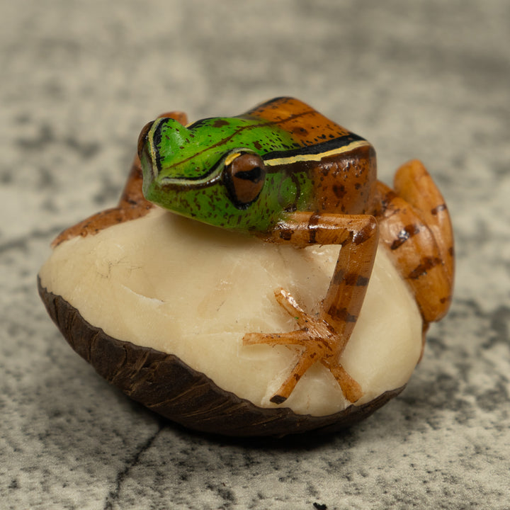 Poison Dart Frog Tagua Carving