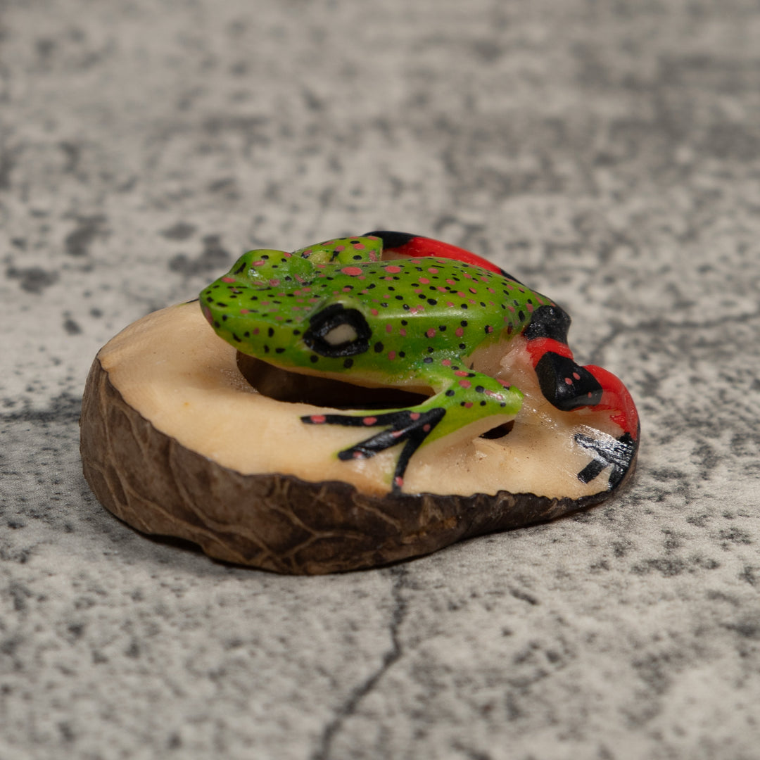 Red And Green Poison Dart Frog Tagua Carving