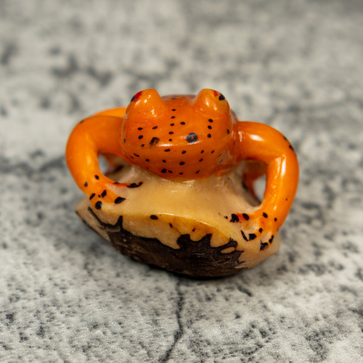 Orange And Black Frog Tagua Carving