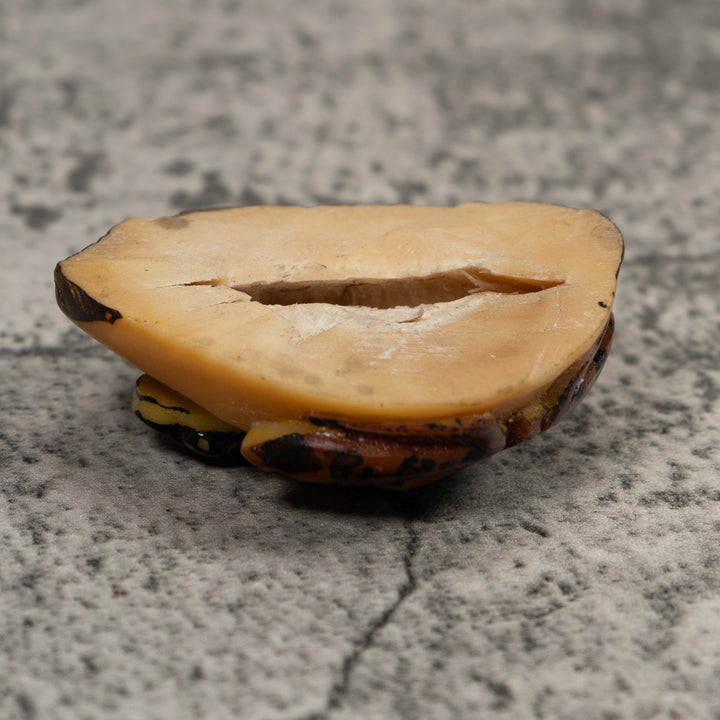 Vintage Brown And Black Frog Tagua Carving