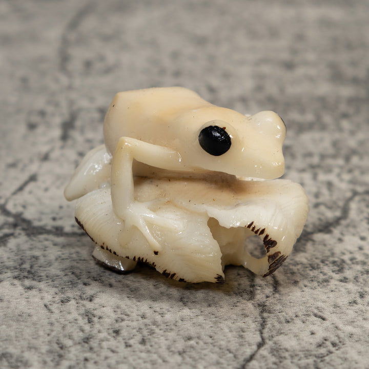 White Natural Frog Tagua Carving