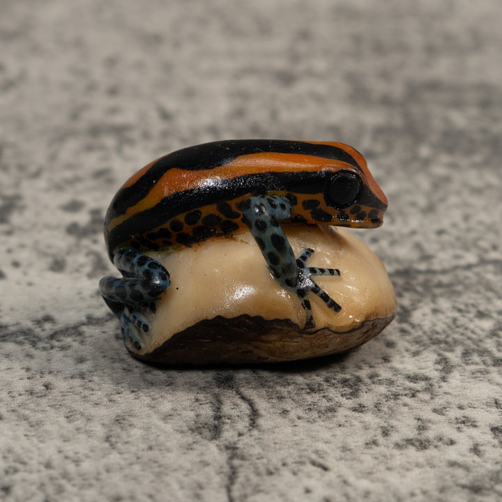 Gold And Black Poison Dart Frog Tagua Carving