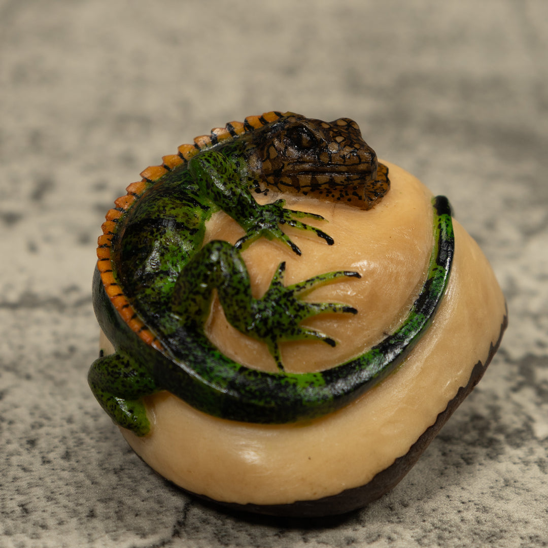 Iguana Lizard Reptile Tagua Carving