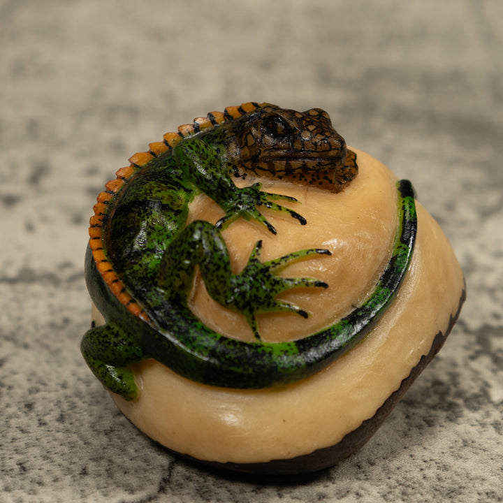 Iguana Lizard Reptile Tagua Carving