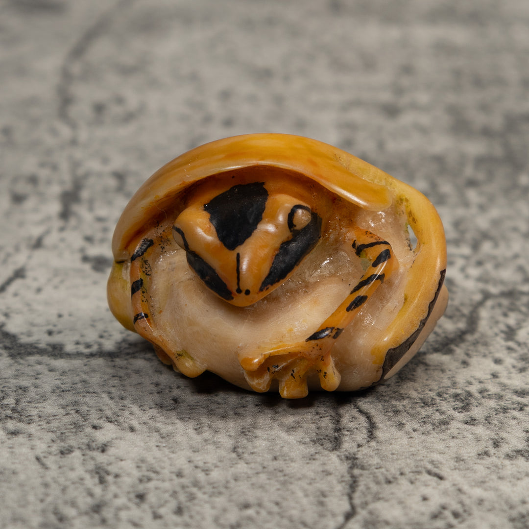 Gold And Black Poison Dart Frog Under Leaf Tagua Carving