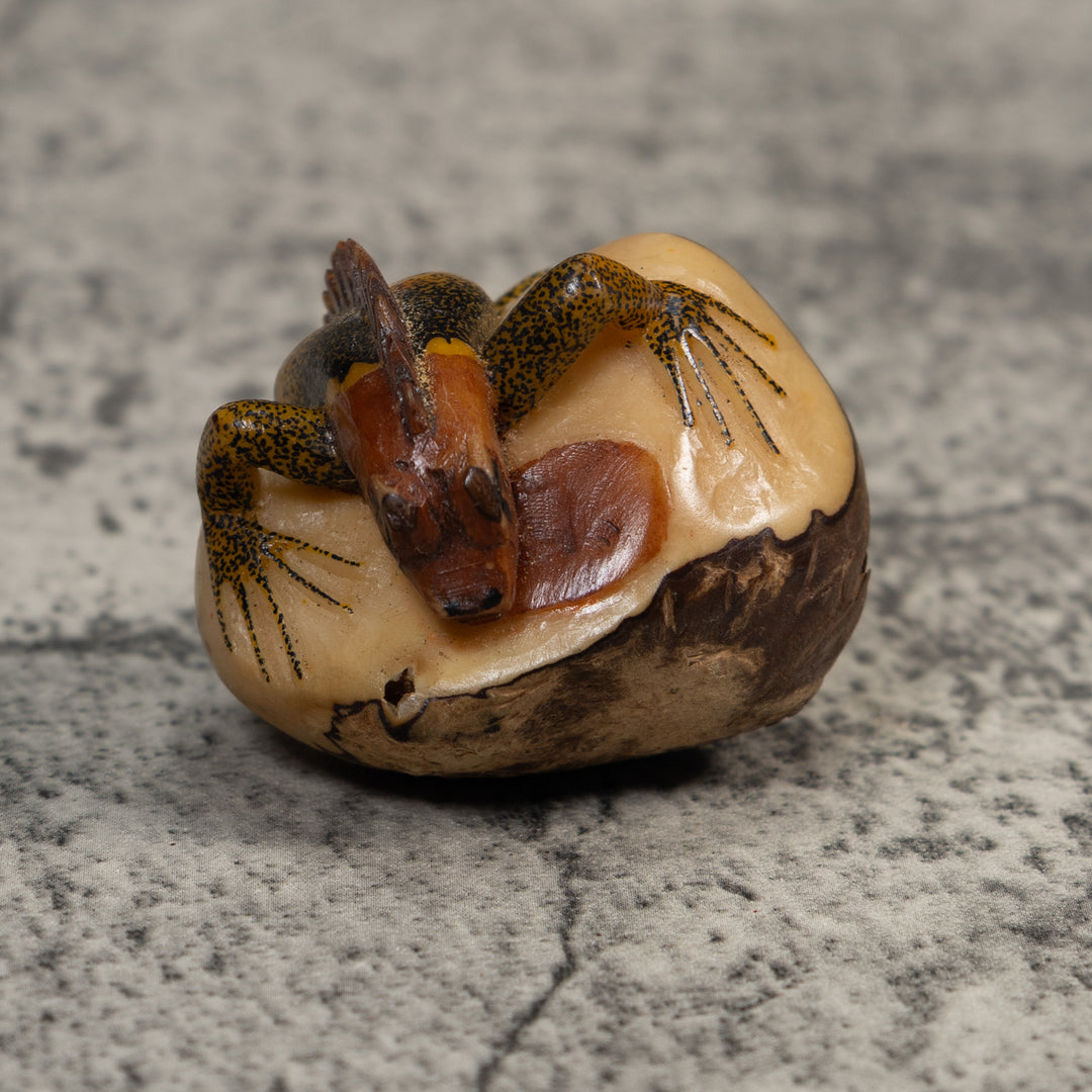Brown And Black Iguana Lizard Tagua Carving