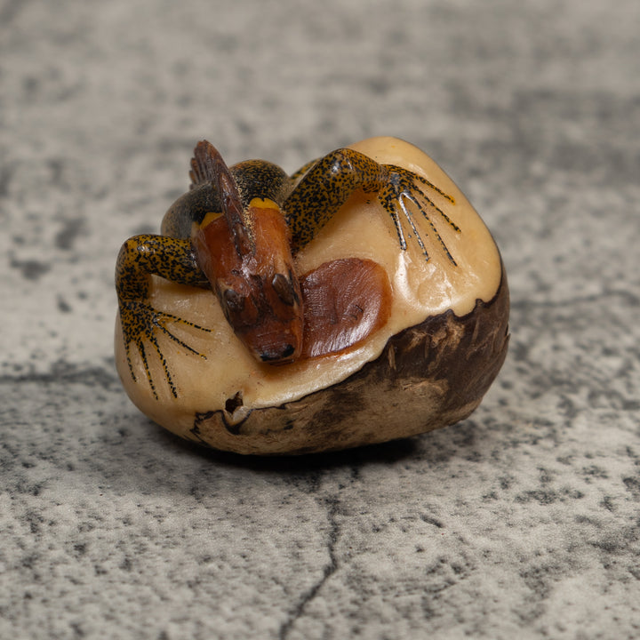 Brown And Black Iguana Lizard Tagua Carving