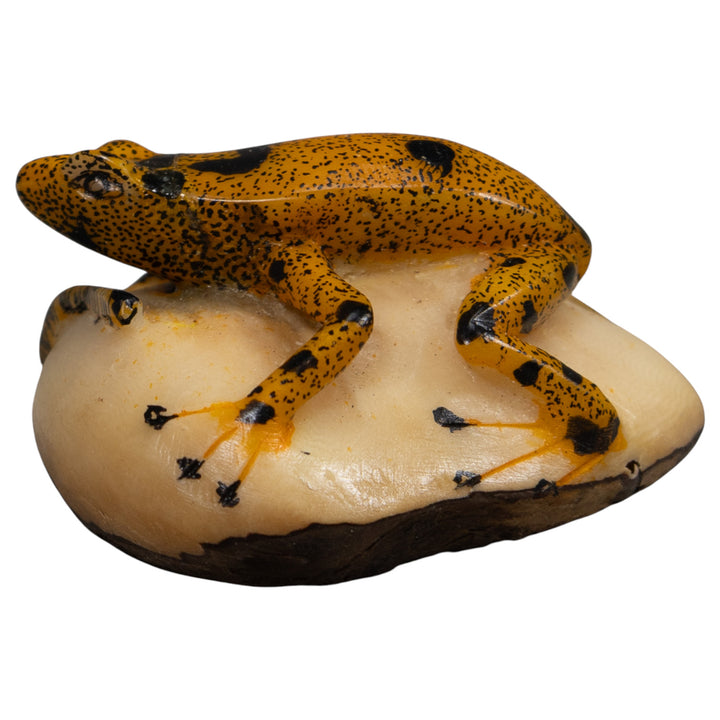 Vintage Gold And Black FrogTagua Carving